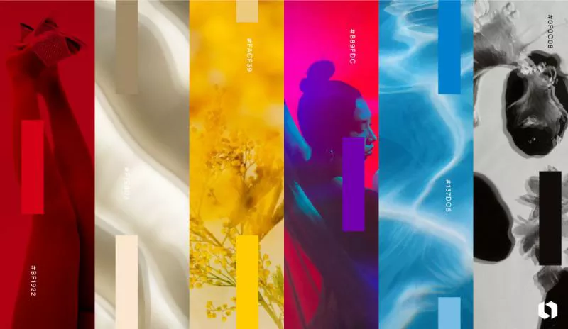 انتخاب رنگها برای طراحی سایتهای مدرن